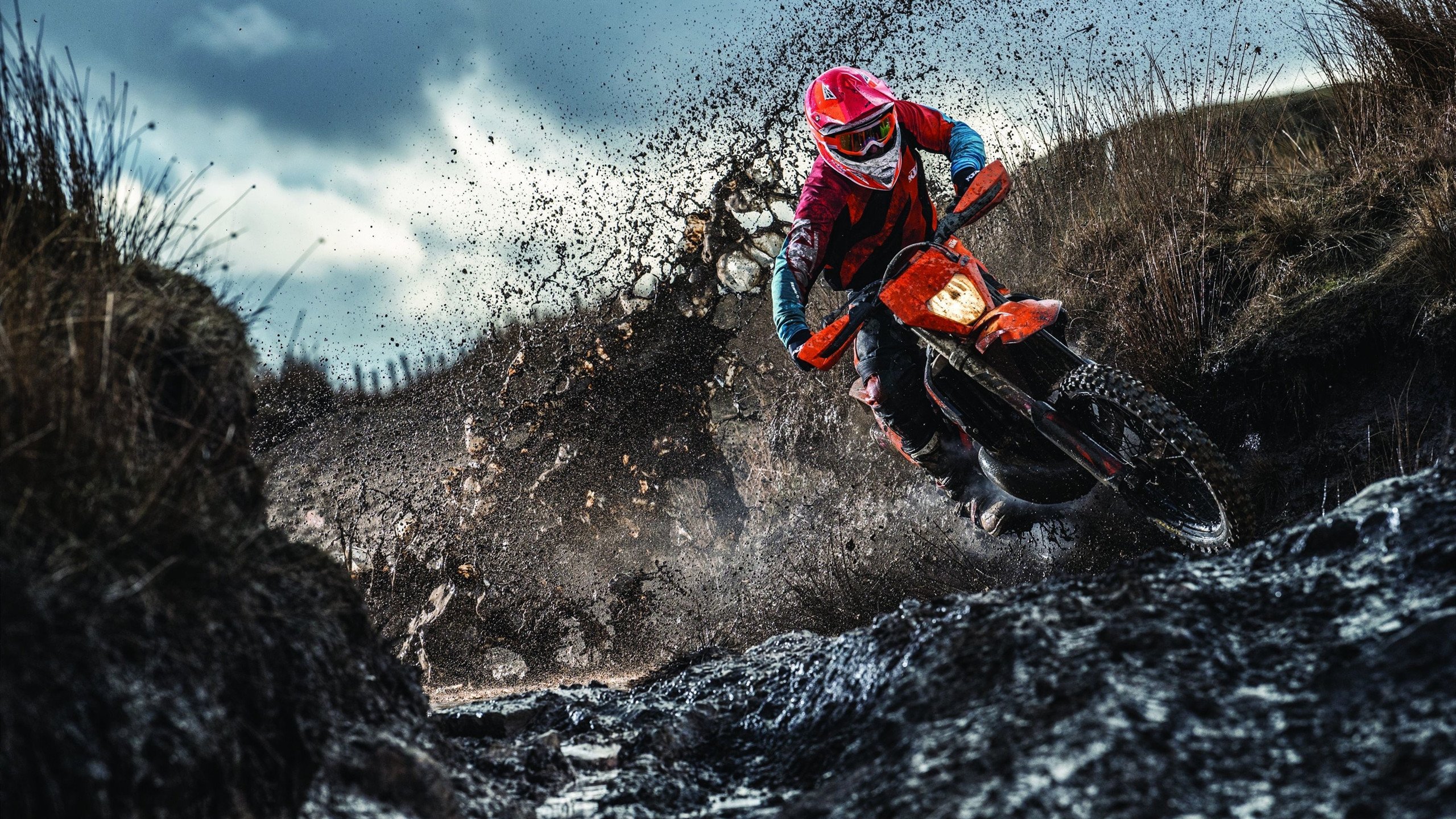 开云体育官网-2026世界杯焦点战，沙特沙尘暴战术如何碾碎冰岛维京防线